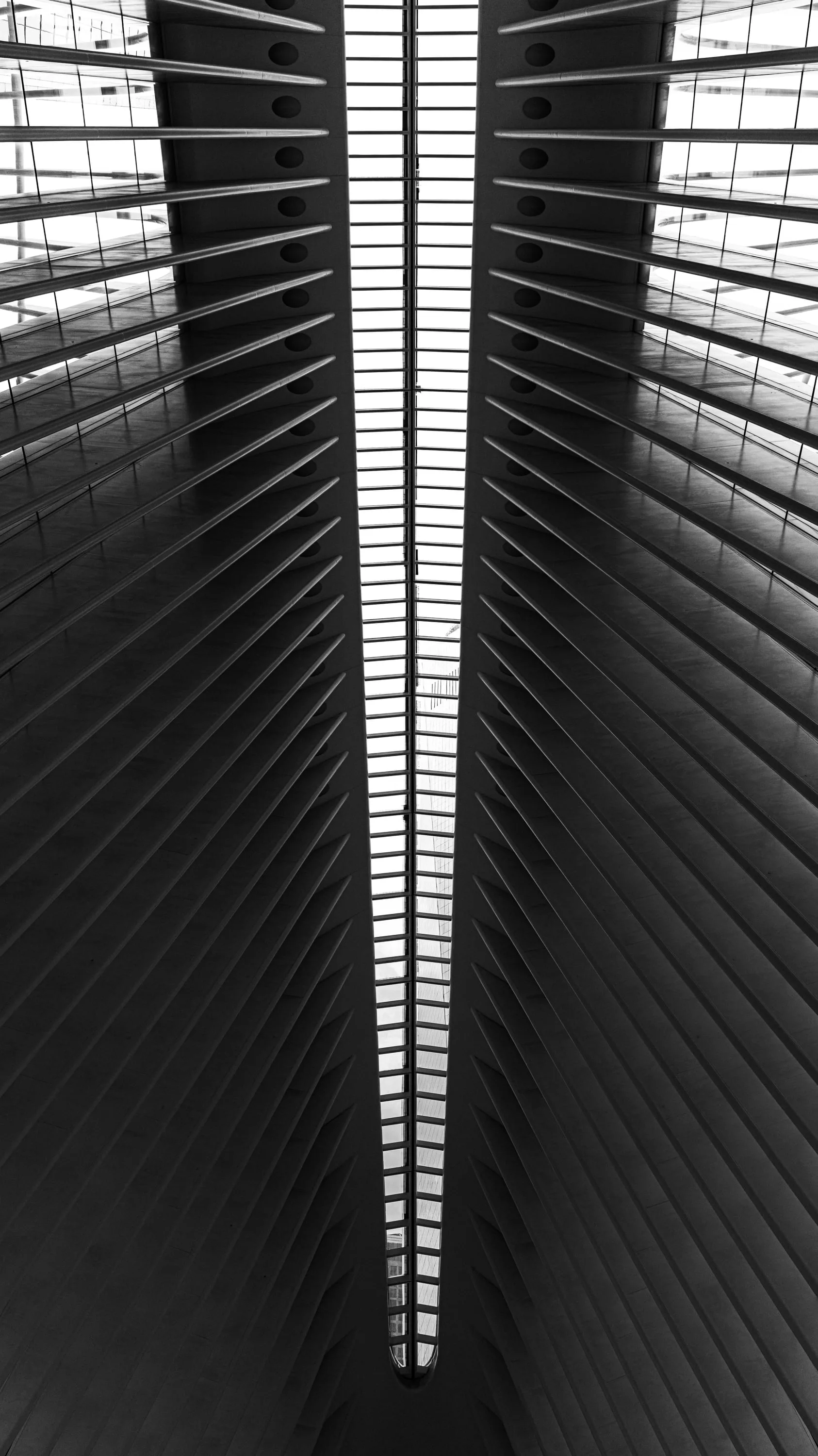 The Oculus — Fine Art - Symmetry, New York City — photography by Chauncey Scott